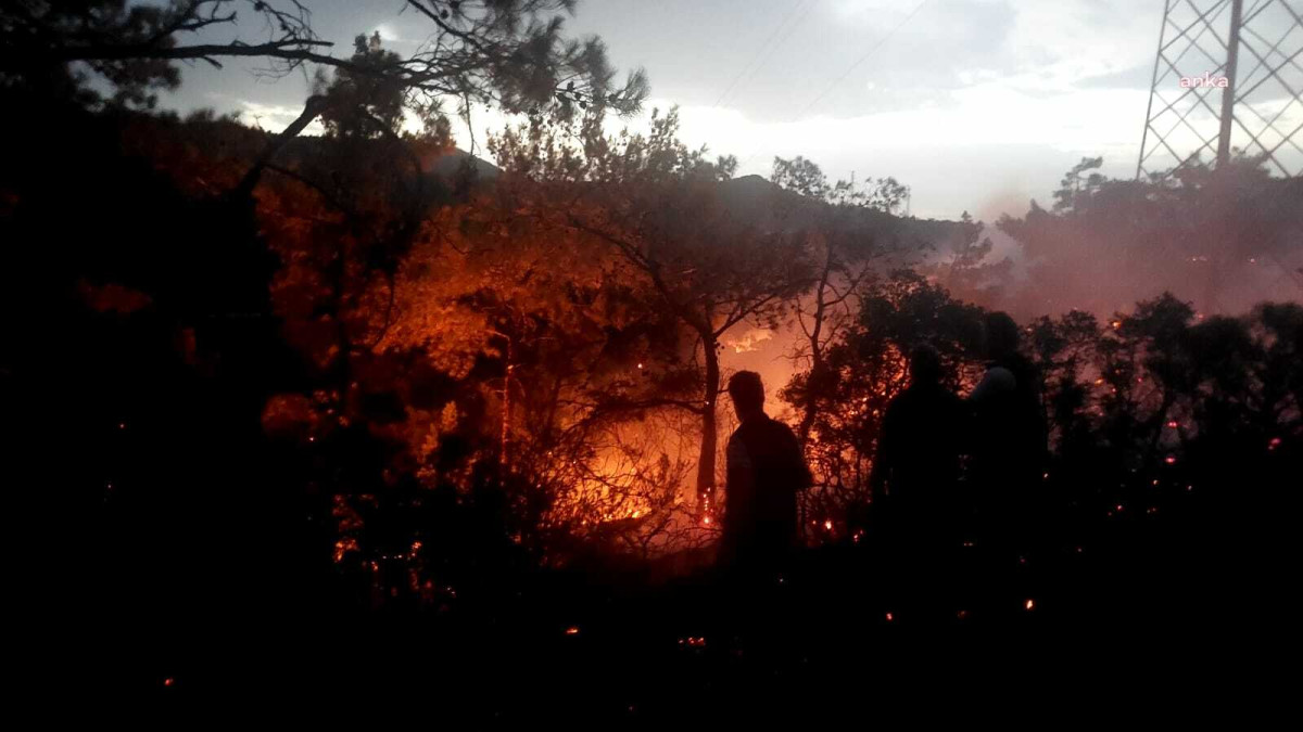 Muğla ve Antalya'da Orman Yangını Telaşı: 6 Hektarlık Alan Etkilendi